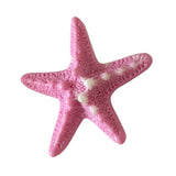 Starfish Mini Hair Clip
